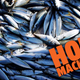 A photo of a haul of mackerel fish caught at sea.